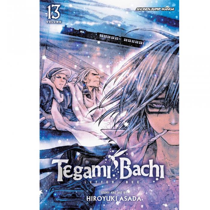 VIZ TEGAMI BACHI GN VOL. 13 PAPERBACK MANGA