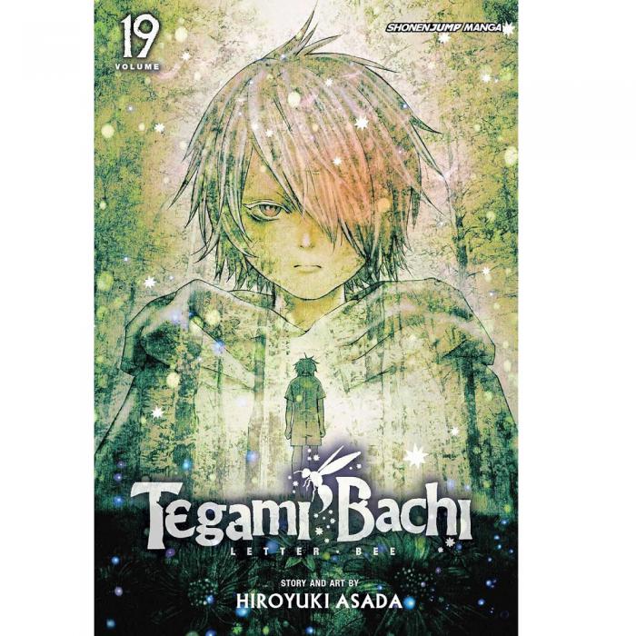 VIZ TEGAMI BACHI GN VOL. 19 PAPERBACK MANGA