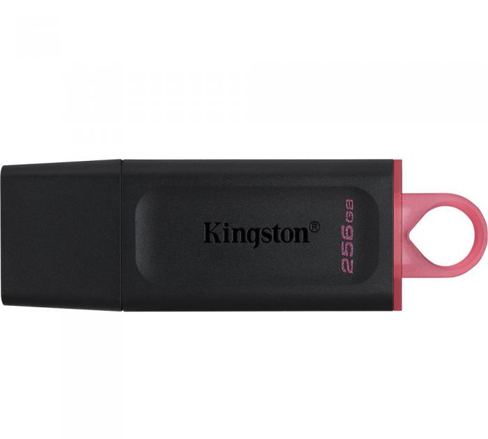 FLASH DRIVES KINGSTON USB 3.2 256GB DTX/256GB