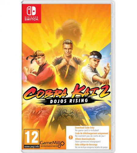 COBRA KAI 2: DOJOS RISING (CODE IN A BOX) SWITCH