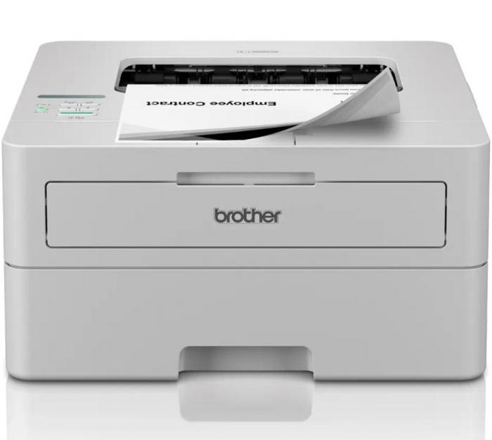 ΕΚΤΥΠΩΤΗΣ LASER BROTHER HL-L2865DW