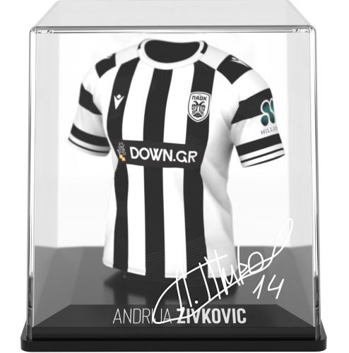 ΦΙΓΟΥΡΑ FANCOLLEX: MYJERSEY - PAOK - ANDRIJA ZIVKOVIC HOME 25/26 53MY00011