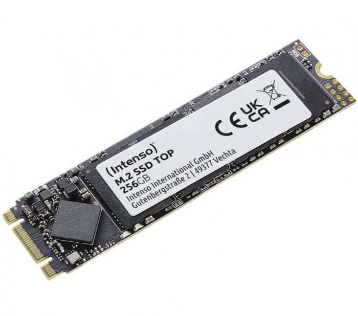 ΔΙΣΚΟΣ SSD INTENSO 256GB M.2 3832440